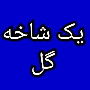 27 برنامه بستنی داغ! - آدم پشتکار دار! یک شاخه گل برنامه شماره ۲۷