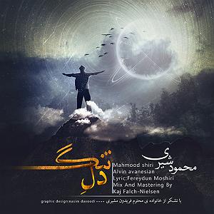 مونولوگ زیبای دل تنگ دل تنگ