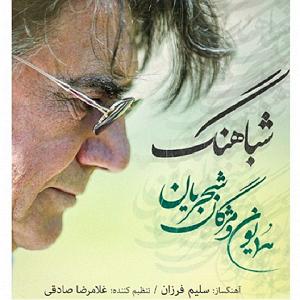 همایون شجریان و علی قمصری - محو تماشا شبا هنگ