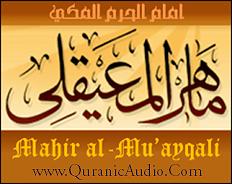 انسان سوره انسان با قرائت