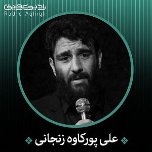 مونولوگ زیبای دلتنگ شما تنگ دل من