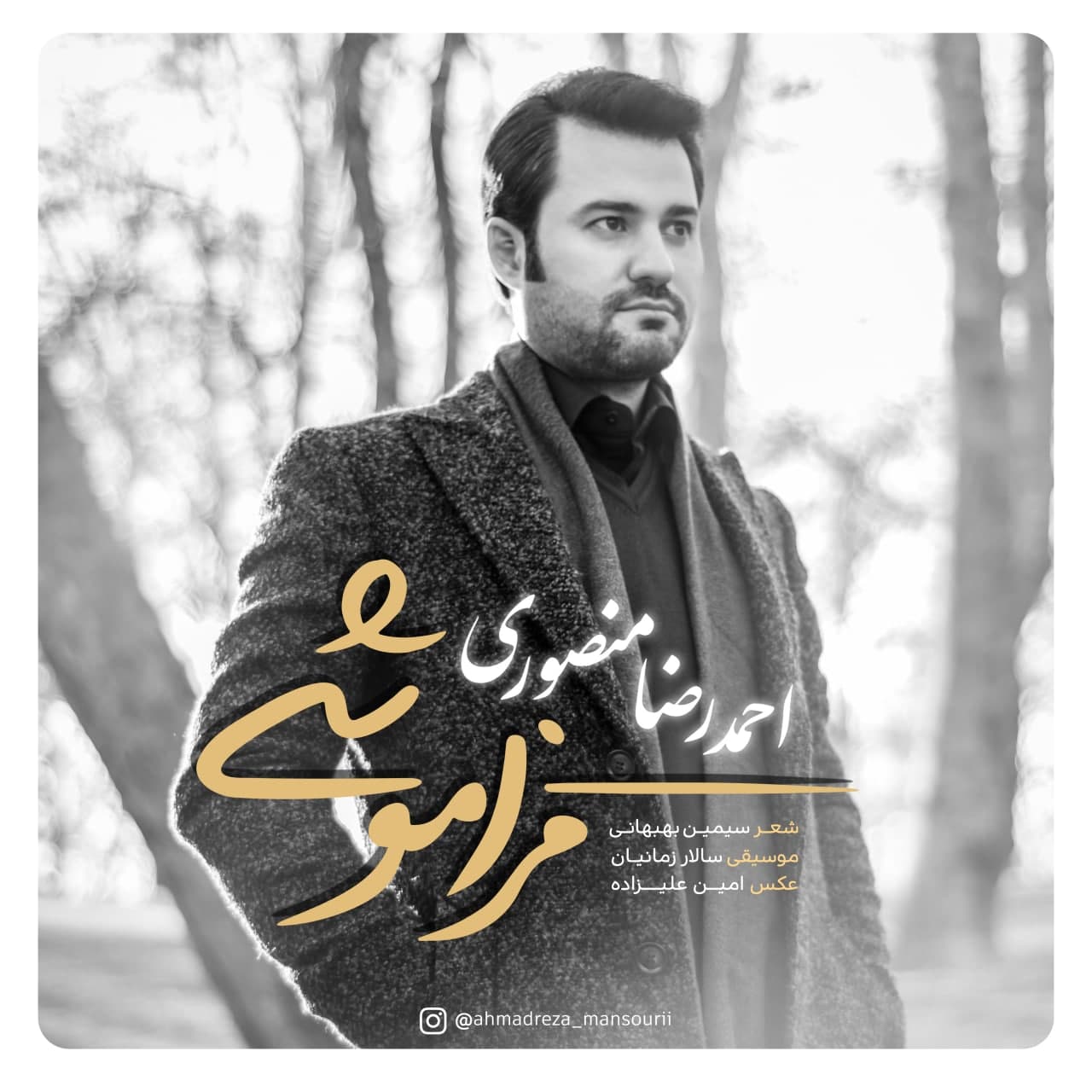 فراموشی فراموشی