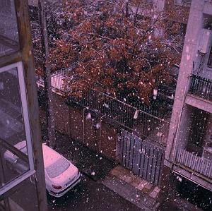 امان از گریه های زیرباران هوش مصنوعی  امان از گریه های زیر باران