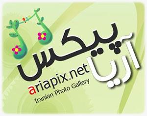 علیرضا قربانی - پرده نشین 