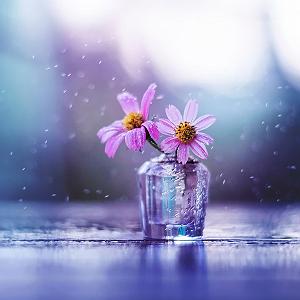 اهنگ همه چی آرومه بی کلام – یه شب از همه چی به خدا گله کرد