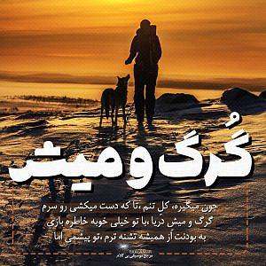 محمد معتمدی - لحظه ی گرگ و میش بی کلام گرگ و میش از