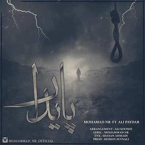 عشق پایدار پایدار