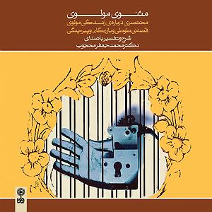 داستان مرتیکه ی مجرد ادامه‌ی داستان طوطی و بازرگان