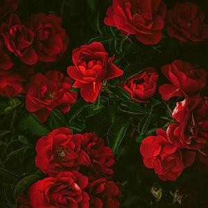 داستان پسرک تنبل پسرک عوض