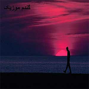 Habib - Donya_Donid Remix دل بریدم از یه دنیا(remix)