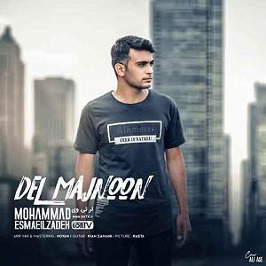 اهنگ faridam از اکبر اسماعیل زاده  لری دل مجنون با