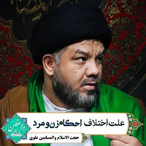 مرد نادون و دختر زرنگ! احکام زن مرد