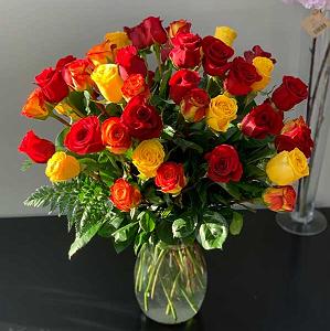 رادیوجناره ملک زاده ترکی سنینله هر یر جنتدیر سنی چوخ سویرم از چیناره ملک زاده