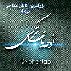 اگه رسیدی به جایی رسیدی به کربلا