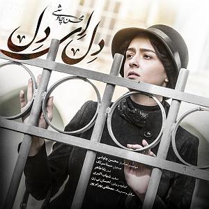 سینا سرلک و مصطفی پاشایی - روزگار دل ای دل