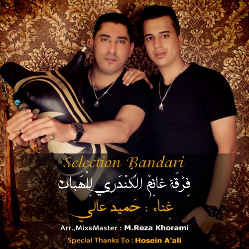 هیپولوژی بندری حمید عالی سلکشن بندری