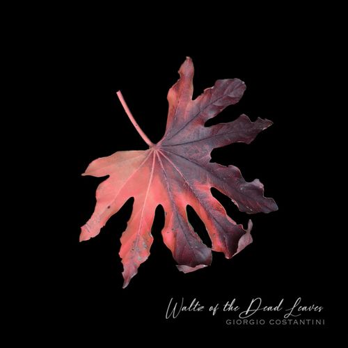 432 Waltz of the Dead Leaves (432 Version)