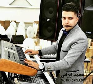 بندری شاد بندری