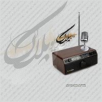 عشق پایدار مولفه های امنیت پایدار در استان کردستان