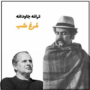 سیما بینا مرغ شب