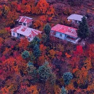 ناخون تورگهای منه تو کیی های تو کیی دل منه بردی تو کیی