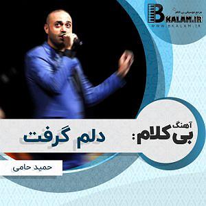 حمید مدیری (تو میتونی) بی کلام دلم گرفت