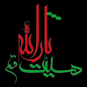 میترسم یک شب تنها بمیرم  شور می ترسم از اخرخودم میترسم ازکه ازتور دب شم