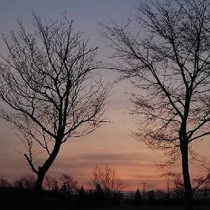 نشکن دلمو بیکلام 