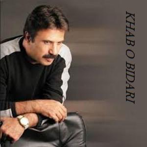 بیژن مرتضوی  سفر کرده