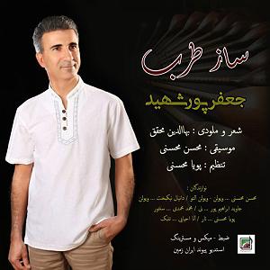 آلبوم سنتی ترکی Tarab  ساز طرب