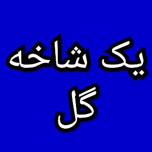 بازم زمستون از تامیلا kamila gardish chashm siyah