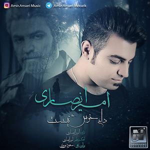 آهنگ ویولن میلاد امیرانصاری  دلم خوش نیست