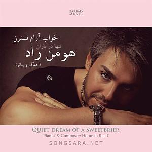 Only question  Rain Without a Question