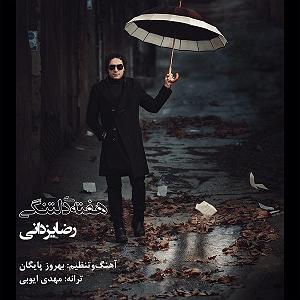 رضا یزدانی - هفته ی دلتنگی هفته دلتنگی