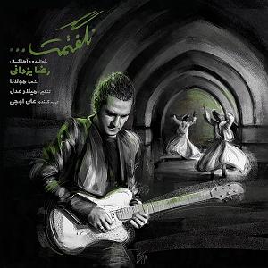 رضا یزدانی - سوفی و دیوانه نگفتمت