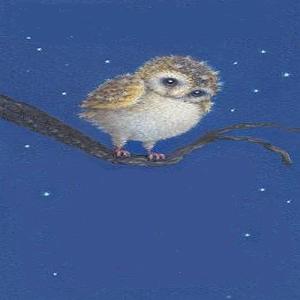 اینجا پرنده بود - شماره پیش از صفر پوپی ، جغدی که ازتاریکی می ترسید