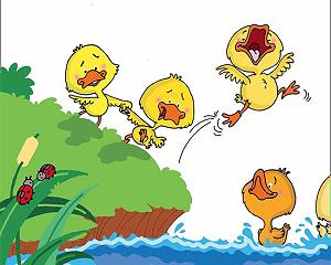 داستان این روز های ما قصه کودکانه نیکو و جیکو از آب می ترسند