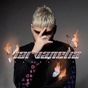 آلبوم نسیم وصل پارسالیپ و نسیم پروانه ها