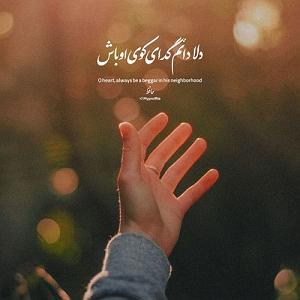 هیپولوژی بندری قدیمی – وای وای ابادان