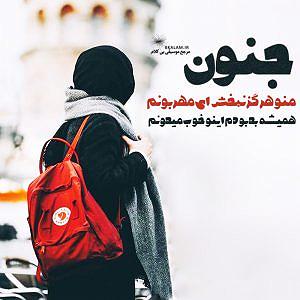 علیرضا قربانی - هوای جنون بی کلام جنون از