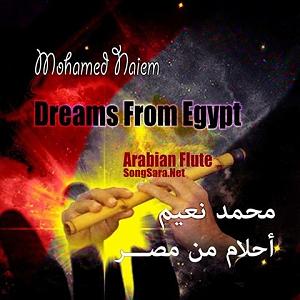  Reply - A cerulean state A State of Love