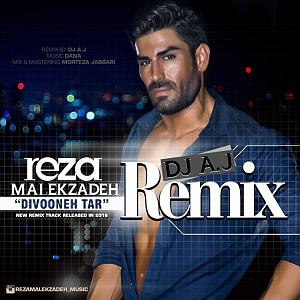 رادیوجناره ملک زاده دیوونه تر (ریمیکس)