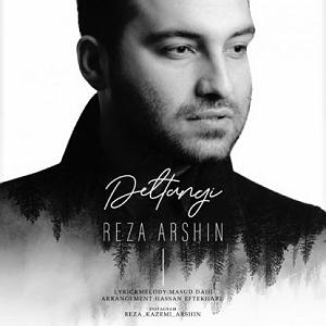 رضا یزدانی - دلتنگی تهران رضا آرشین دلتنگی