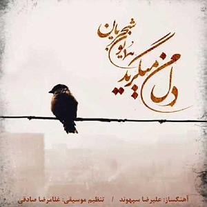 همایون شجریان - بار دگر فراموشی دل می‌گرید