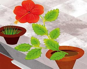 داستان نتیجه ی صداقت قصه کودکانه نتیجه ی تلاش گل سرخ