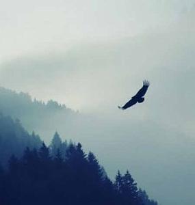 تو تو پر پرواز منی تو خوشگل ناز منی ریمیکس