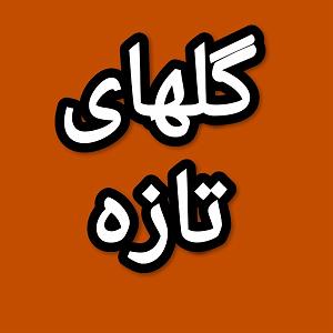 27 برنامه بستنی داغ! - آدم پشتکار دار! گلهای تازه برنامه شماره ۲۷