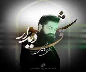 علی زند وکیلی - فصل زرد شوق دیدار علی زندوکیلی