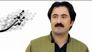 میناعلیزاده مینا گیان