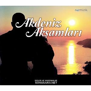 آلبوم درهم Fikrimin İnce Gülü